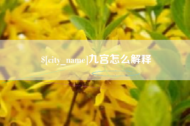 福建九宫怎么解释