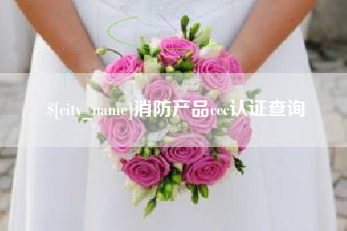 福建消防产品ccc认证查询