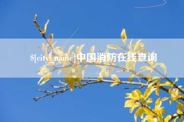 福建中国消防在线查询