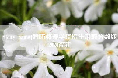 福建消防救援学院招生录取分数线2020福建
