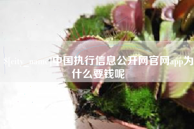 福建中国执行信息公开网官网app为什么要钱呢