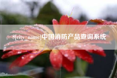 福建中国消防产品查询系统