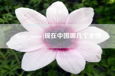 福建现在中国哪几个金牌