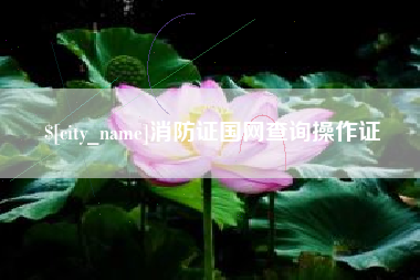福建消防证国网查询操作证