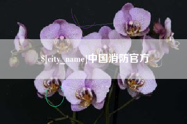 福建中国消防官方