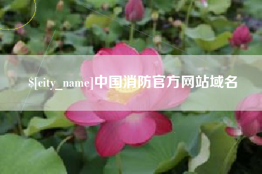 福建中国消防官方网站域名