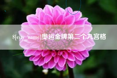 福建奥运金牌第二个九宫格