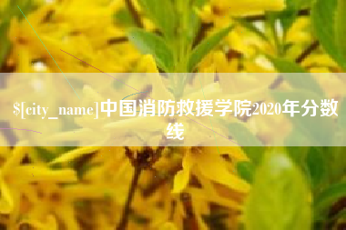福建中国消防救援学院2020年分数线
