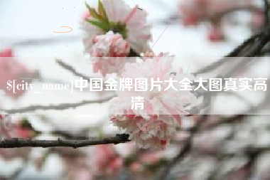 福建中国金牌图片大全大图真实高清