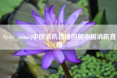 福建中国消防直播回放中国消防直播