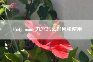 福建九宫怎么排列和使用