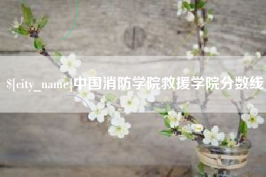 福建中国消防学院救援学院分数线