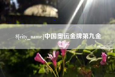 福建中国奥运金牌第九金