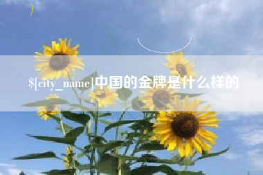 福建中国的金牌是什么样的