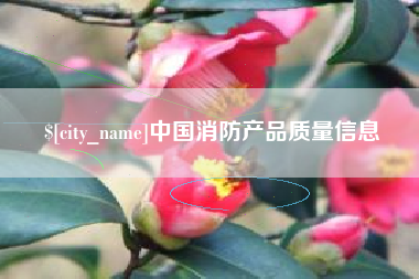 福建中国消防产品质量信息
