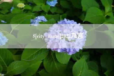 福建2022九宫