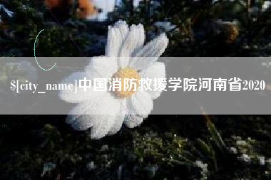福建中国消防救援学院河南省2020